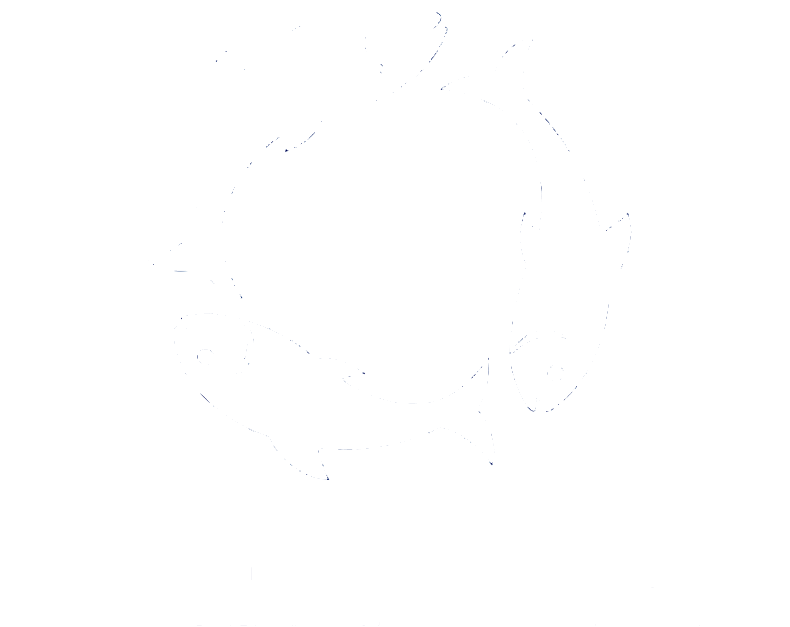 REMORA Project Logo